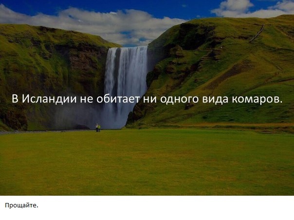 Подборка забавных картинок на понедельник Подборка забавных картинок на понедельник забавные картинки, прикол, юмор