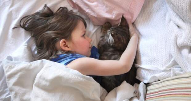 5-летняя девочка аутист и ее терапевтическая кошка Тула айрис грейс  (10)