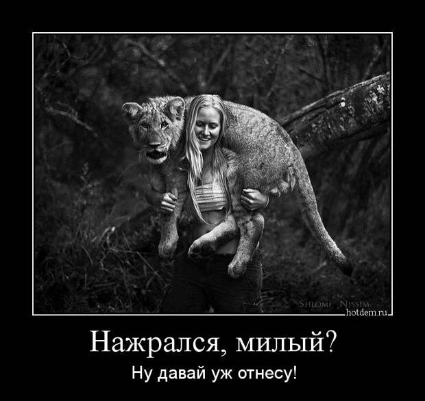 Демотиваторы Демотиваторы демотиваторы, прикол, смех, юмор
