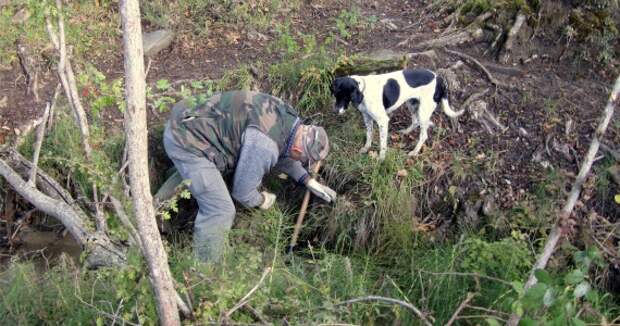 truffle-hunting-gallery
