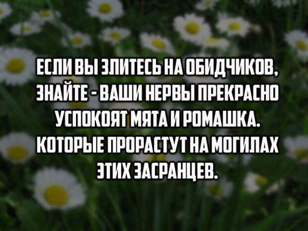 В точку!