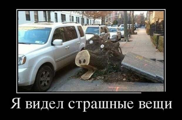 Демотиваторы (30 фото) Демотиваторы (30 фото)