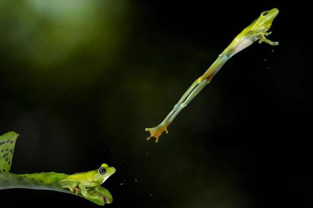 sony-world-photography-awards-2013 (27)