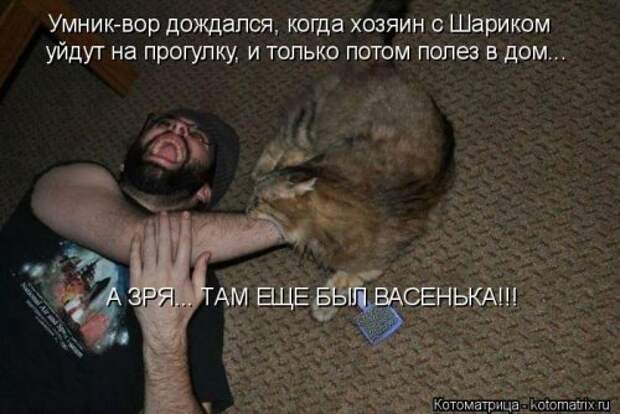 Котоматрица на Бугаге (28 фото)