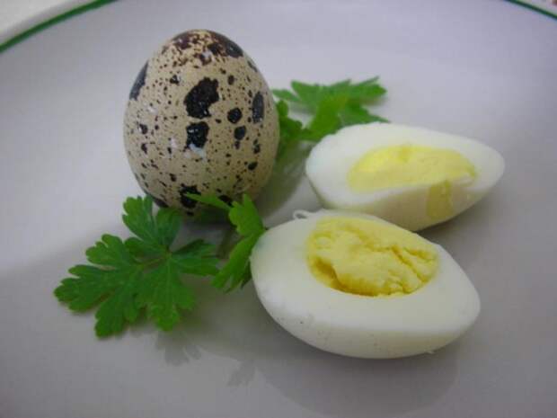 перепелиное яйцо 3.00 - Продам - Челябинск