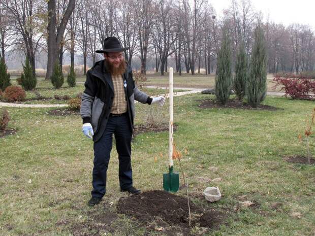 В Донецке заложили Аллею народного единства