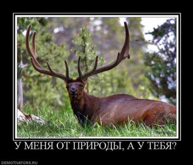 Новые прикольные демотиваторы, осторожно - будет очень смешно!
