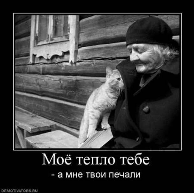 Красивые демотиваторы и серьезные фразы и цитаты со смыслом.