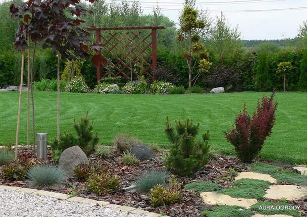 P1150266aa (700x495, 198Kb)