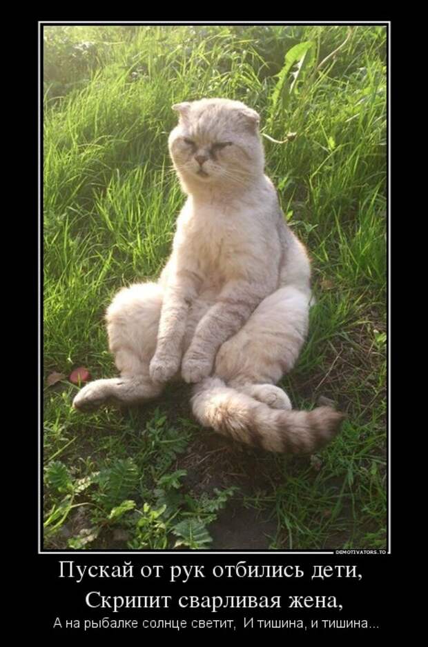 Демотиваторы  демотиваторы, прикол, смех, юмор