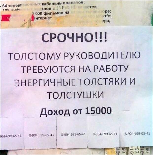 Картинки, юмор, приколы
