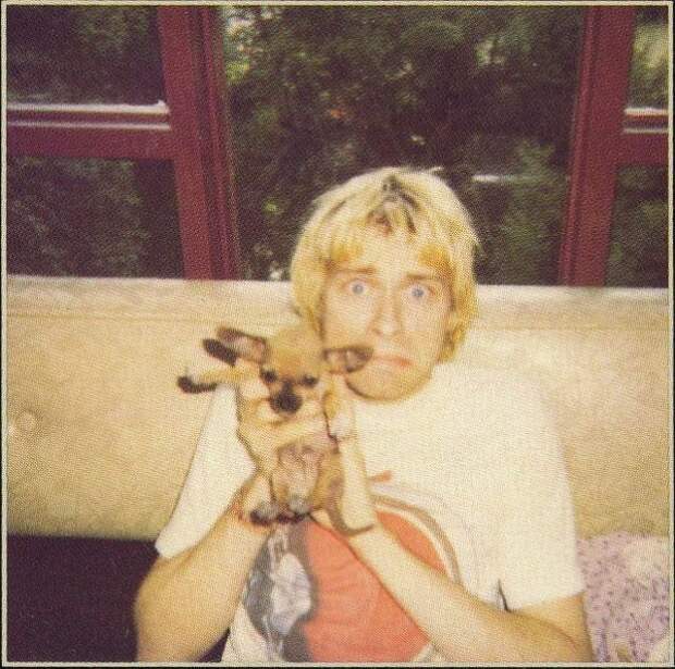 Kurt Cobain звёзды, знаменитости, рок звёзды, фотография