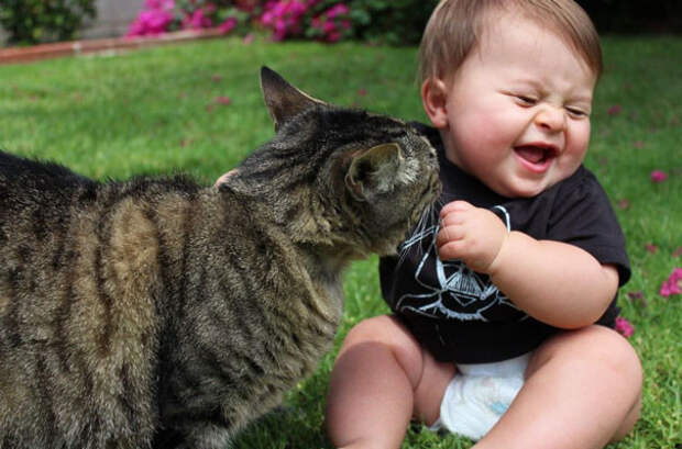 20 фотодоказательств того, что вашим детям нужна кошка дети, коты