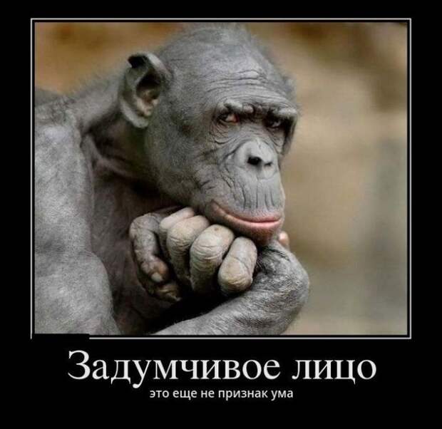 Демотиваторы со смыслом