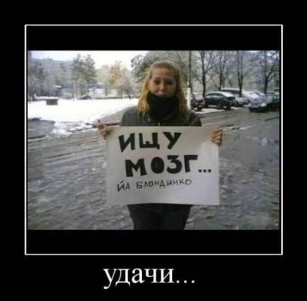 Демотиваторы новые, надписи и фото прикольные.