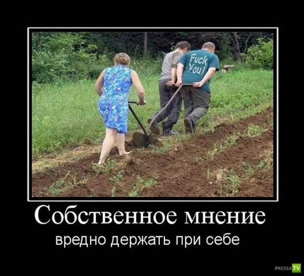 Демотиваторы на июнь, часть 9 (31 фото) Демотиваторы на июнь, часть 9 (31 фото)