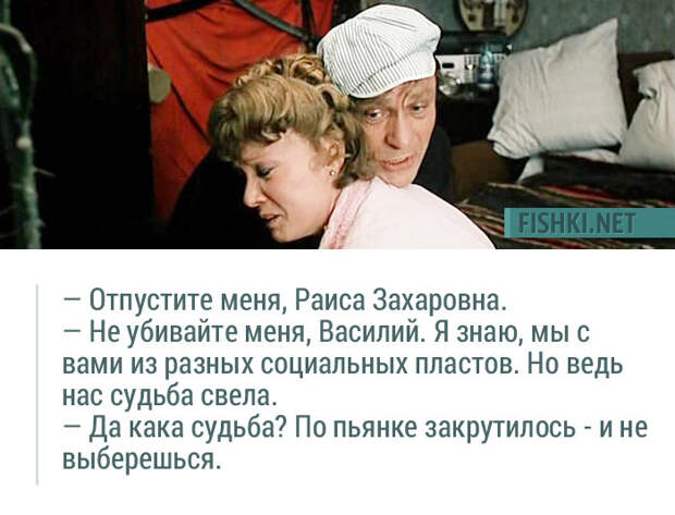 20 незабываемых цитат из фильма "Любовь и голуби" 20 незабываемых цитат из фильма "Любовь и голуби" Любовь и голуби, кино, цитаты