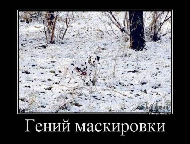 Демотиваторы - 260 (45 демок)