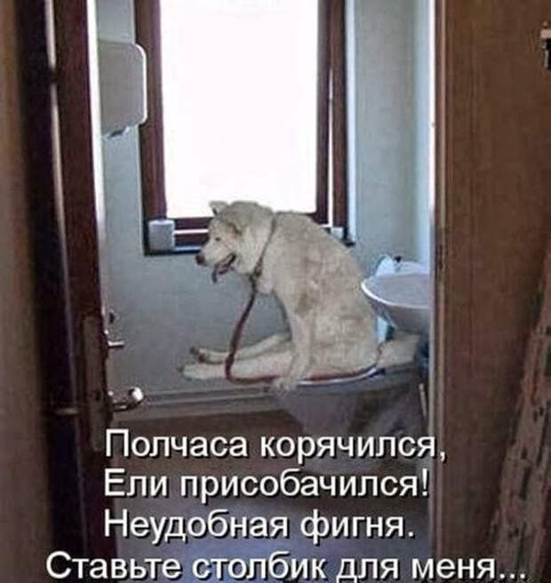 8f95a822c4cc2dc3093cc006187_prev