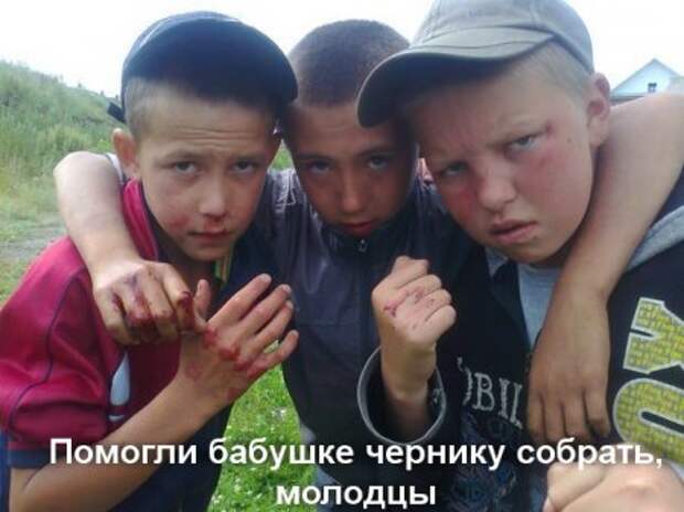 Фото приколы, позитив быстро и качественно.