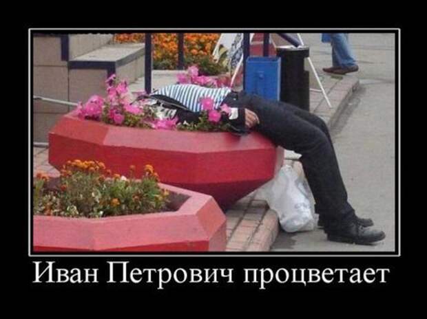 Демотиваторы (30 фото)