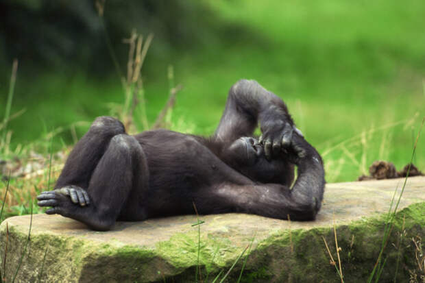 9. Когда осознаешь, что комфортно поспать не получится 9. Когда осознаешь, что комфортно поспать не получится гримаса, женщина, жизнь, критические дни