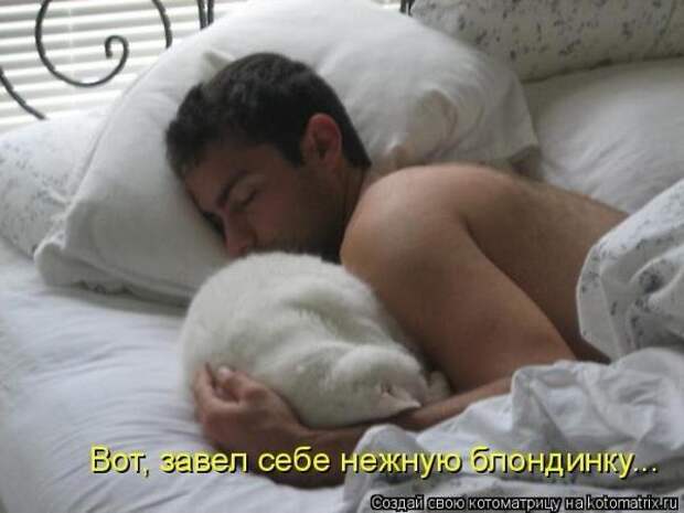 Котоматрица Котоматрица