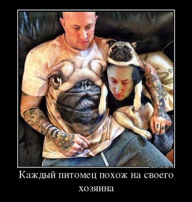 Демотиваторы демотиваторы, прикол, смех, юмор