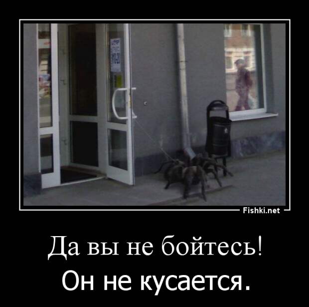 Демотиваторы демотиваторы, прикол, смех, юмор