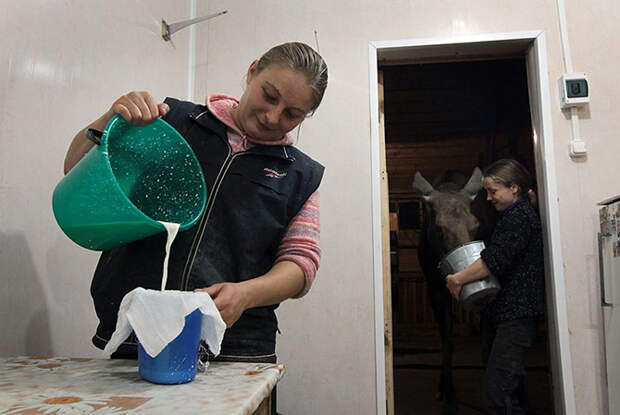 Забытые деликатесы возвращаются в лоно высокой русской кухни