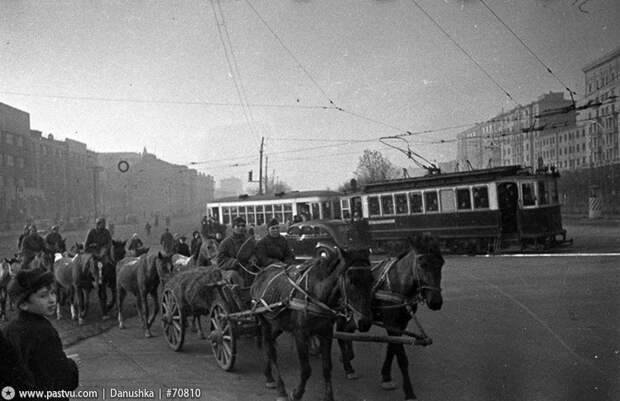 Ленинградское шоссе, 16 октября 1941 г 1941, москва, прогулка