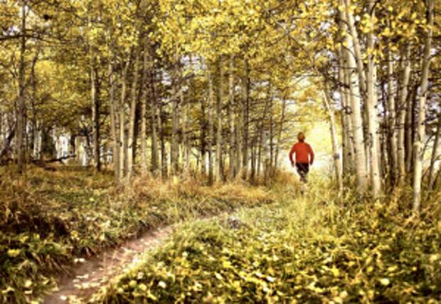 I choose trails