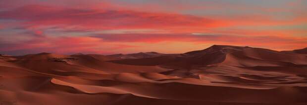Красивейшие снимки самой большой пустыни в мире история, пустыня, путешествия, сахара, факты, фотографии
