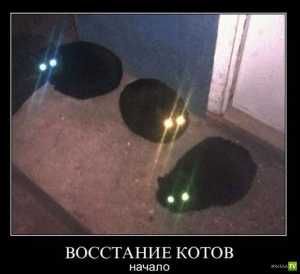 Демотиваторы на апрель (31 фото) Демотиваторы на апрель (31 фото)