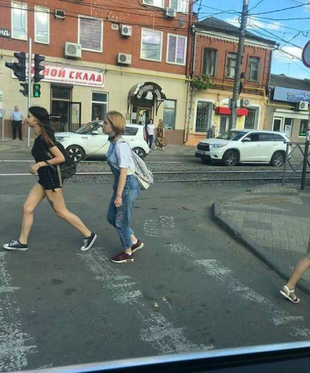 На коротком поводке