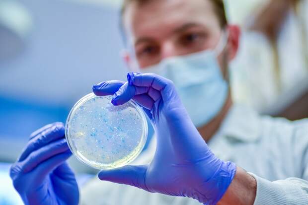 Новый антибиотик от стафилококка: Ученые УрФУ синтезировали перспективное соединение