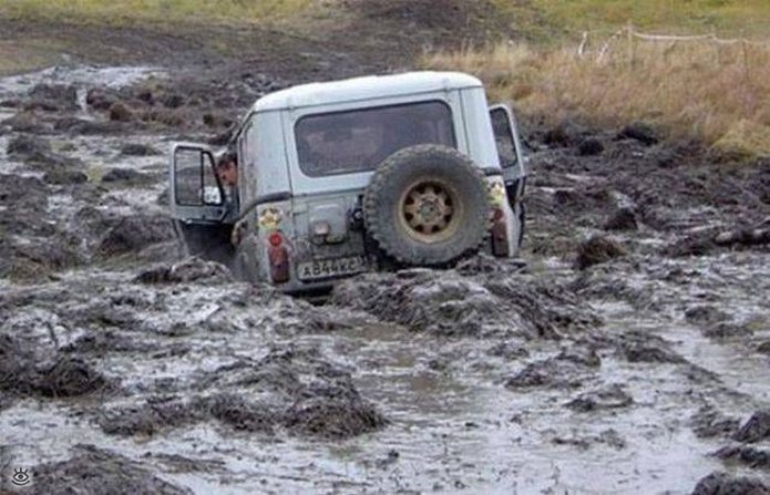 Автокурьёзы с дороги 29