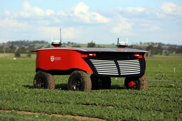 Блог им. MBabaiev: Создана серия роботов, которые полностью заменят людей в сельском хозяйстве (ВИДЕО): Устойчивое развитие