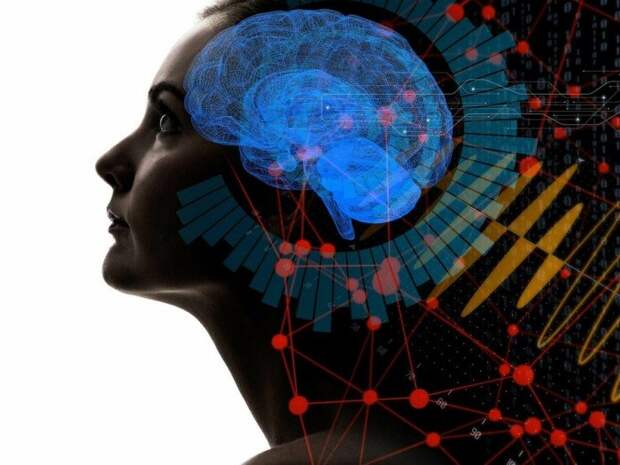 Можно ли повысить свой IQ