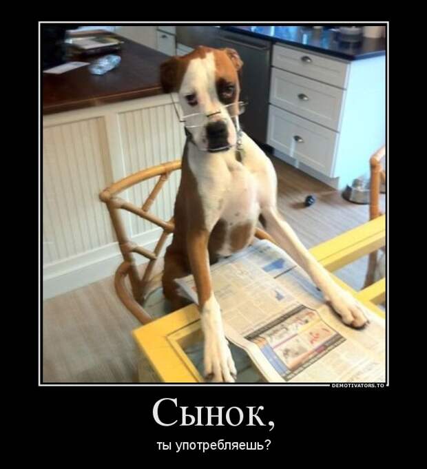 Демотиваторы демотиваторы