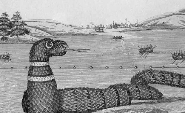 Глостерский змей Морской змей был замечен в гавани Глостер, штат Массачусетс. Первые свидетельства датированы 1638 годом, а чаще всего змей показывался в 1819 году — его видели сотни людей.