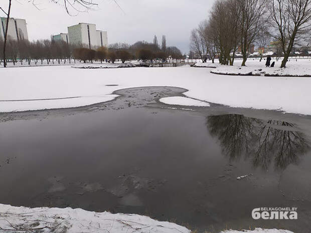 Фото: "Белка" Фото: "Белка"