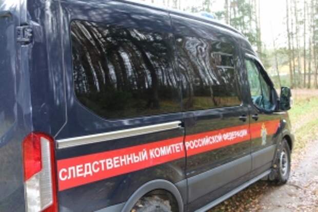 В Ивановской области двое подростков предстанут перед судом по обвинению в причинении тяжких телесных повреждений, повлекших смерть местного жителя