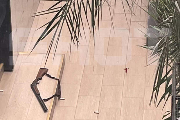 "КП": юноша, устроивший стрельбу в анапском колледже, мог взять ружье у деда