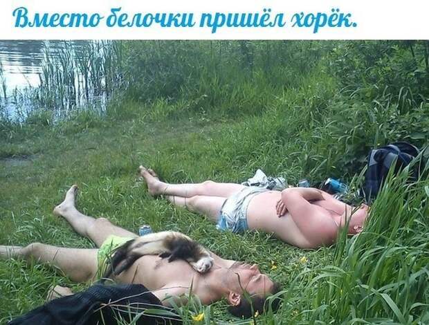 Прикольные картинки Прикольные картинки