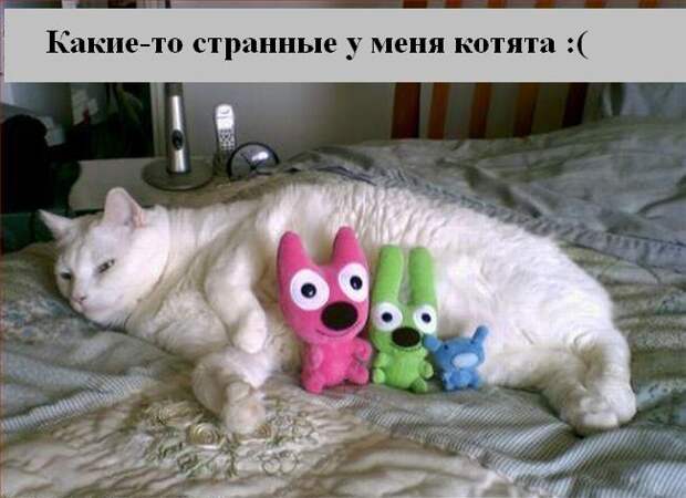 Мысли :) (50мыслей)