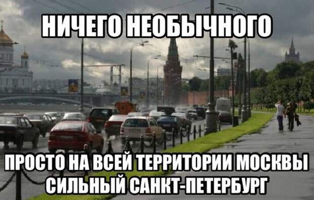 Прикольные картинки (91 фото)