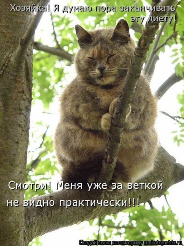 Мысли вслух :)