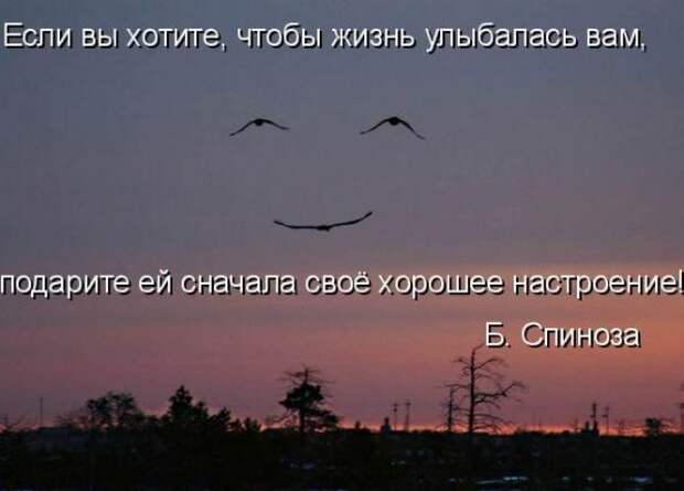 Котоматрица 12