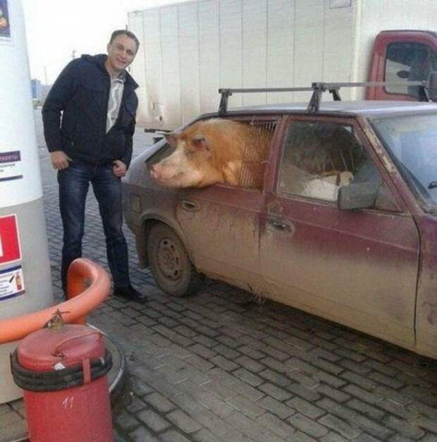 юмор